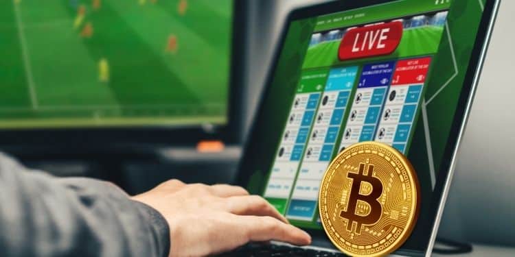 Tips to Bet on Sports with Bitcoin From Experts